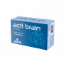 Actl  Brain